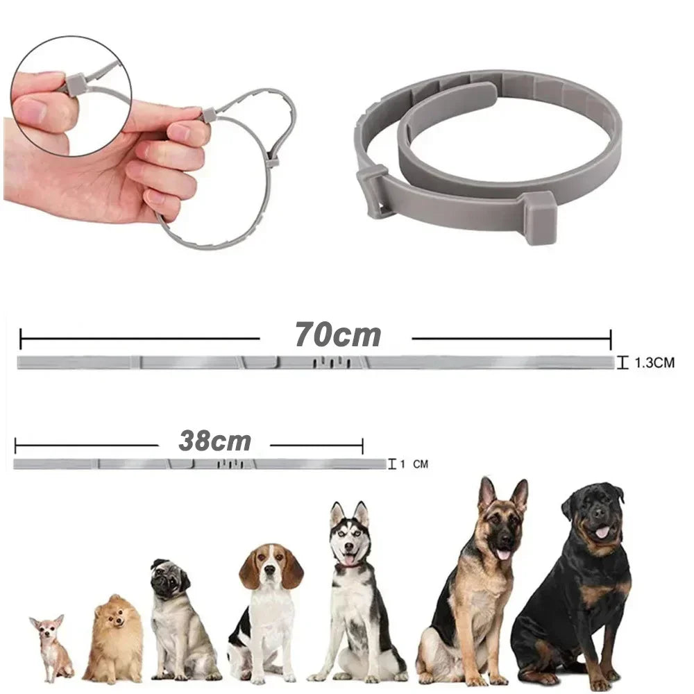 Waterproof Adjustable Pet Collar – Durable Collar for Small, Medium & Large Dogs