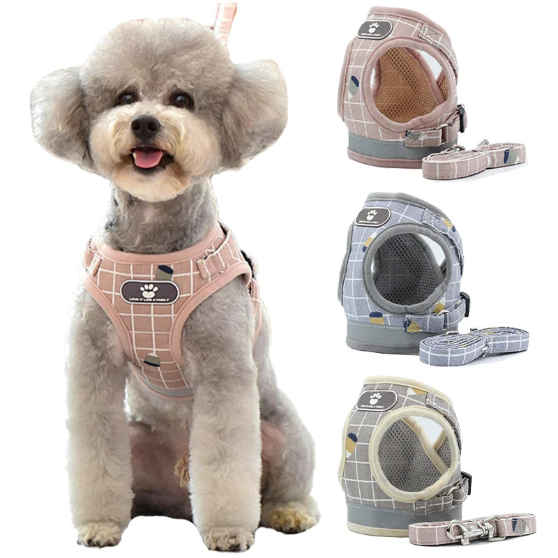 Reflective Pet Harness & Leash Set – Breathable Vest for Small Dogs & Cats