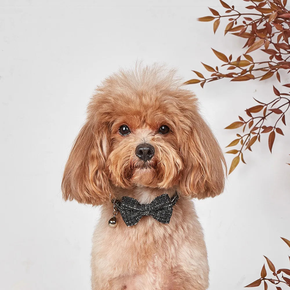 Adjustable Bow Tie Pet Collar with Bell for Cats & Small Dogs
