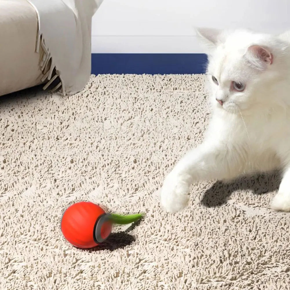 Smart Interactive Pet Ball – Automatic Moving & Bouncing Rechargeable Toy