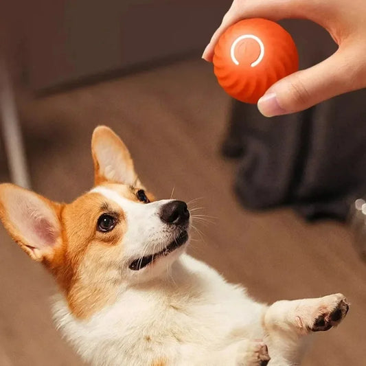 Smart Interactive Dog Ball – Automatic Rolling & Bouncing USB Toy