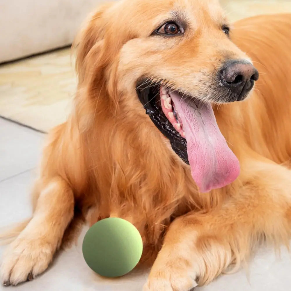 Interactive Dog Ball Launcher Toy for Outdoor Fetch Training