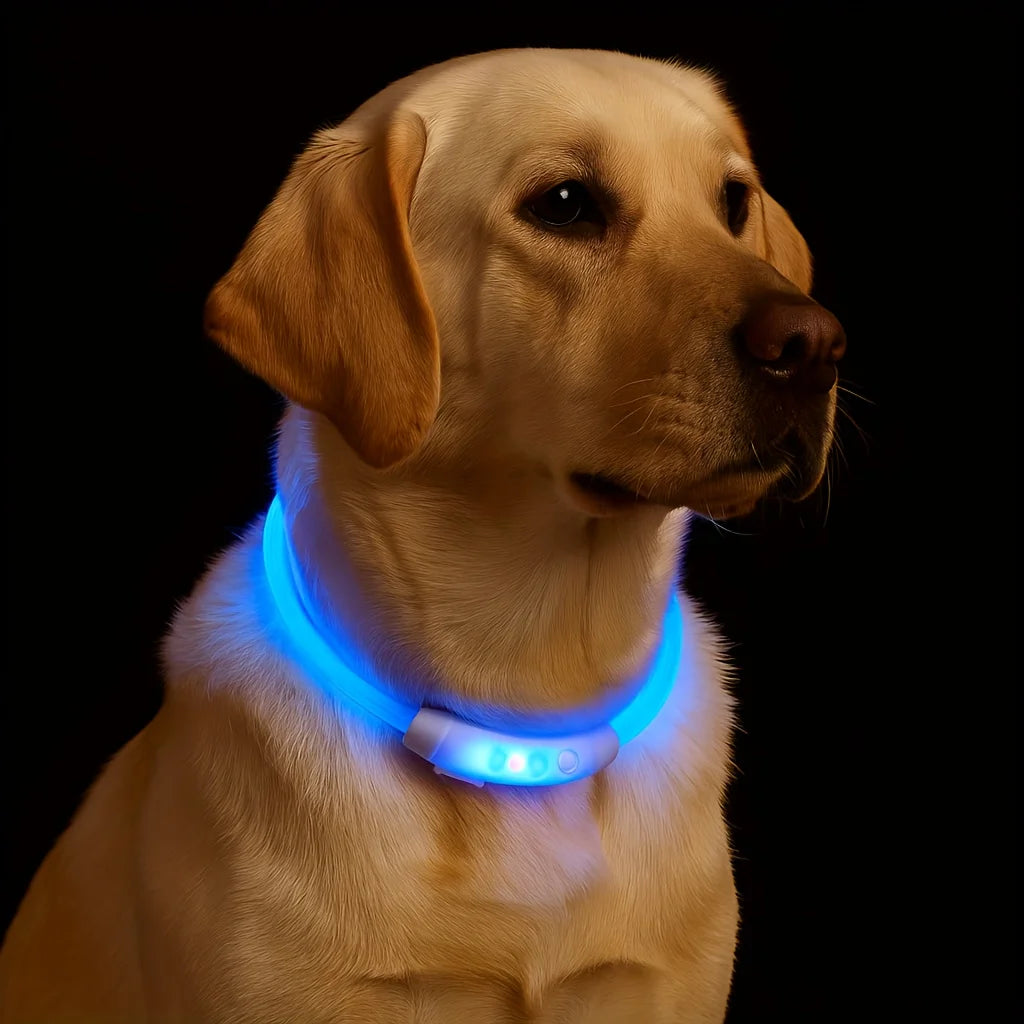 LED Dog Collar USB Rechargeable Adjustable Glowing Reflective Night Safety Collar