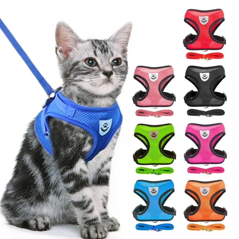 Adjustable Mesh Pet Harness & Leash – Breathable Walking Vest for Small & Medium Pets