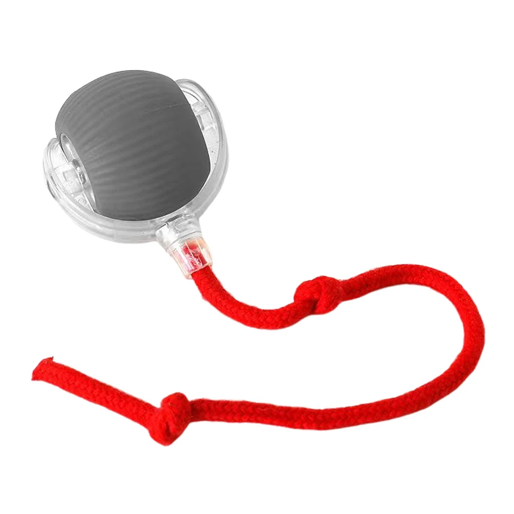 Interactive Rolling Cat Ball – Rechargeable Automatic Toy for Indoor Cats