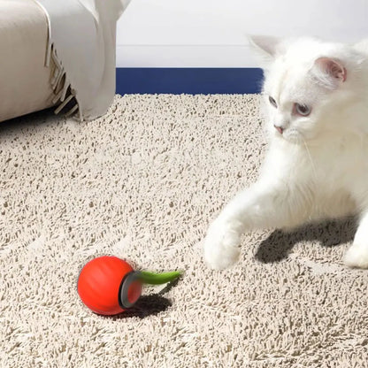 Smart Interactive Cat Toy Ball – USB Rechargeable