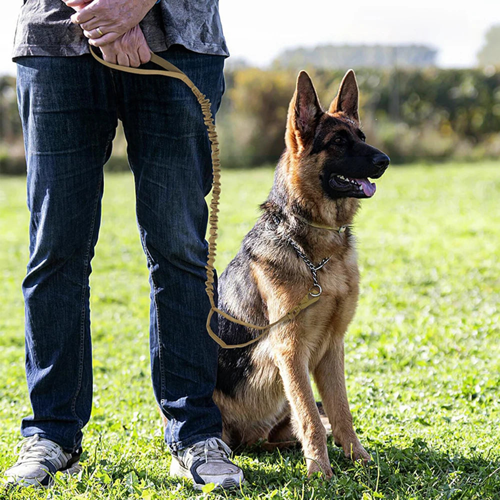 Adjustable Tactical Dog Leash with Dual Handles – Elastic Quick Release Training Lead
