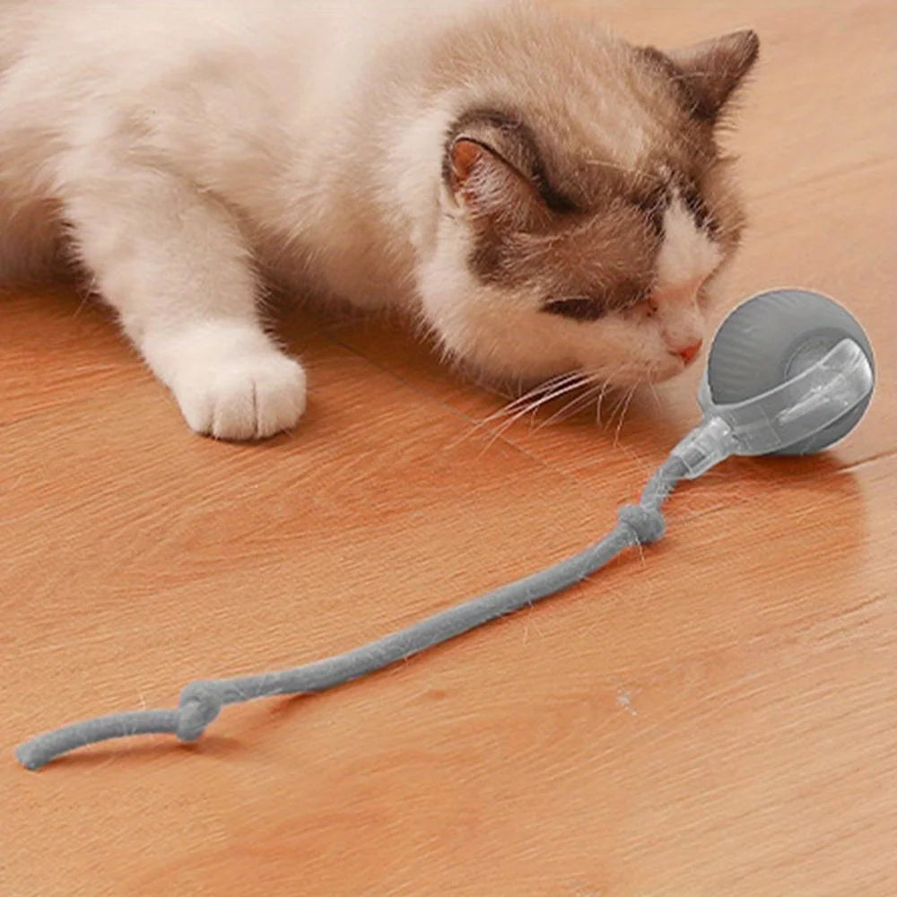 Rechargeable Smart Cat Ball – Interactive Electric Rolling Toy with Faux Tail for Cats & Dogs