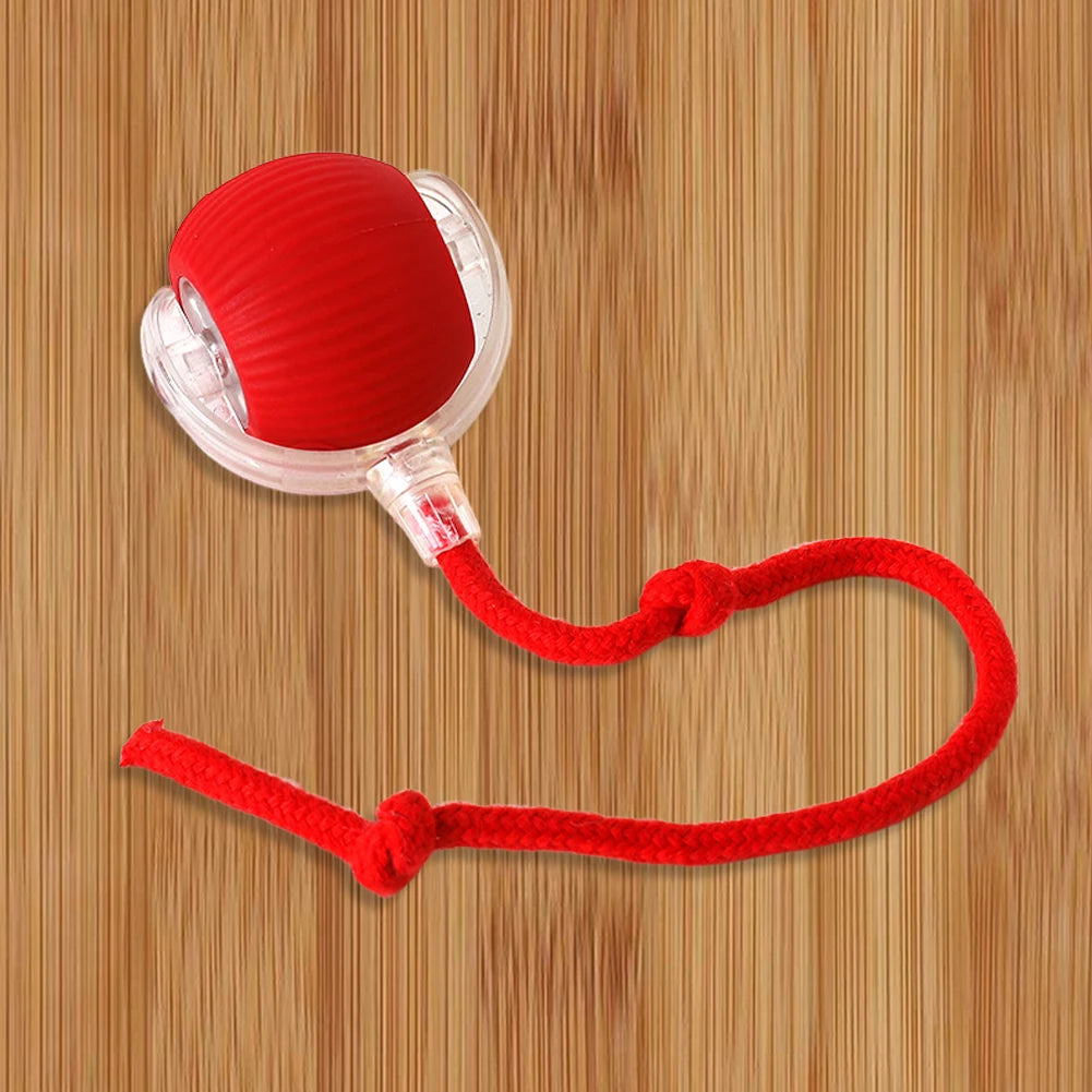 Interactive Rolling Cat Ball – Rechargeable Automatic Toy for Indoor Cats