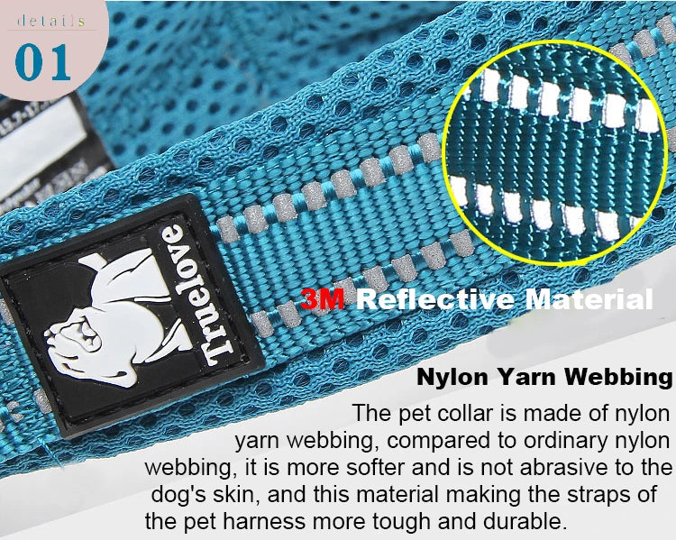 Padded Tactical Dog Collar – Adjustable Nylon Walking Collar for All Sizes