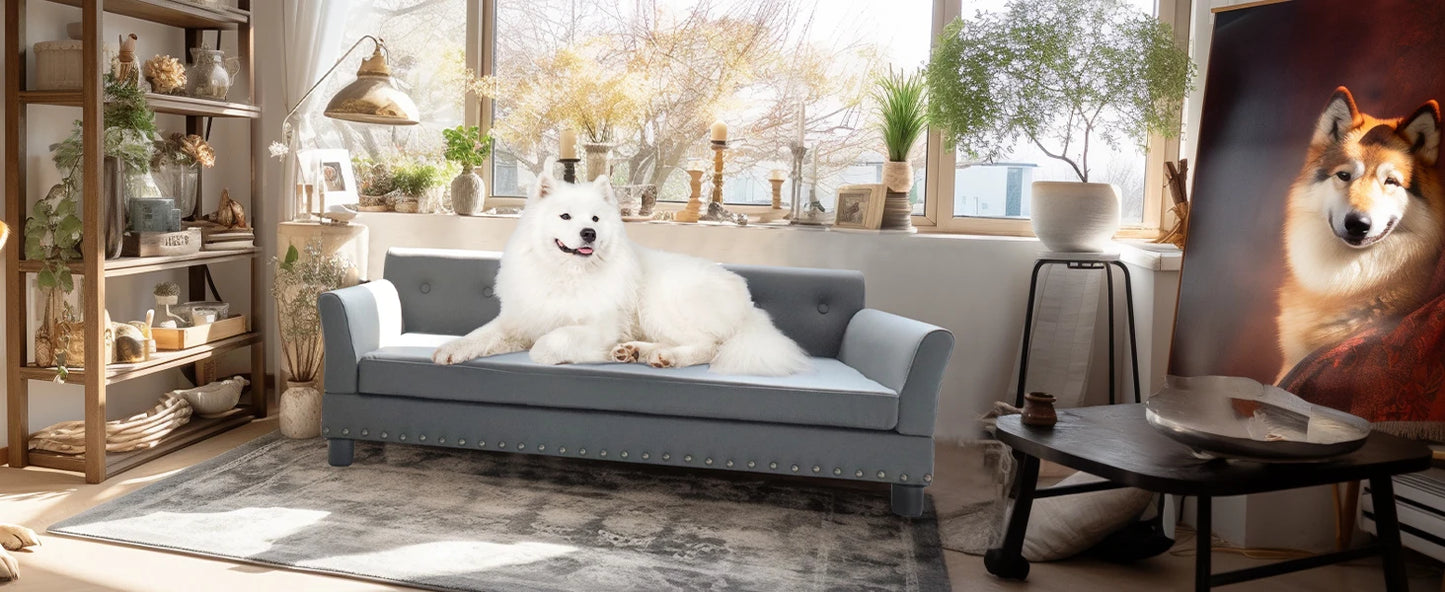 Modern Elevated Dog Sofa Bed for Medium & Large Dogs