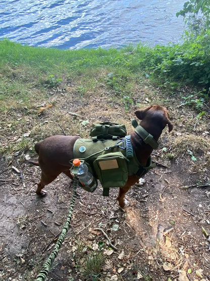 Tactical Dog Harness with Molle – For Medium & Large Dogs