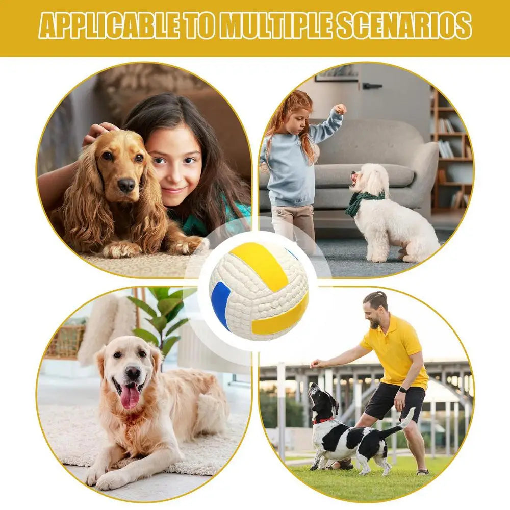 Interactive Dog Ball Toy – Tough Bouncy Chew Ball for Puppies