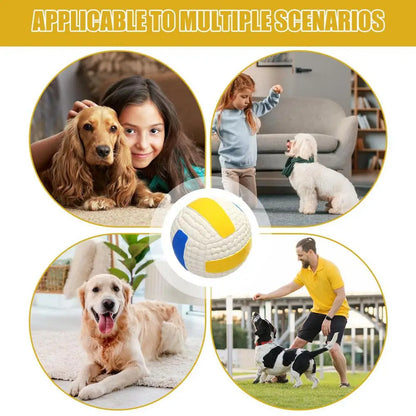 Interactive Dog Ball Toy – Tough Bouncy Chew Ball for Puppies