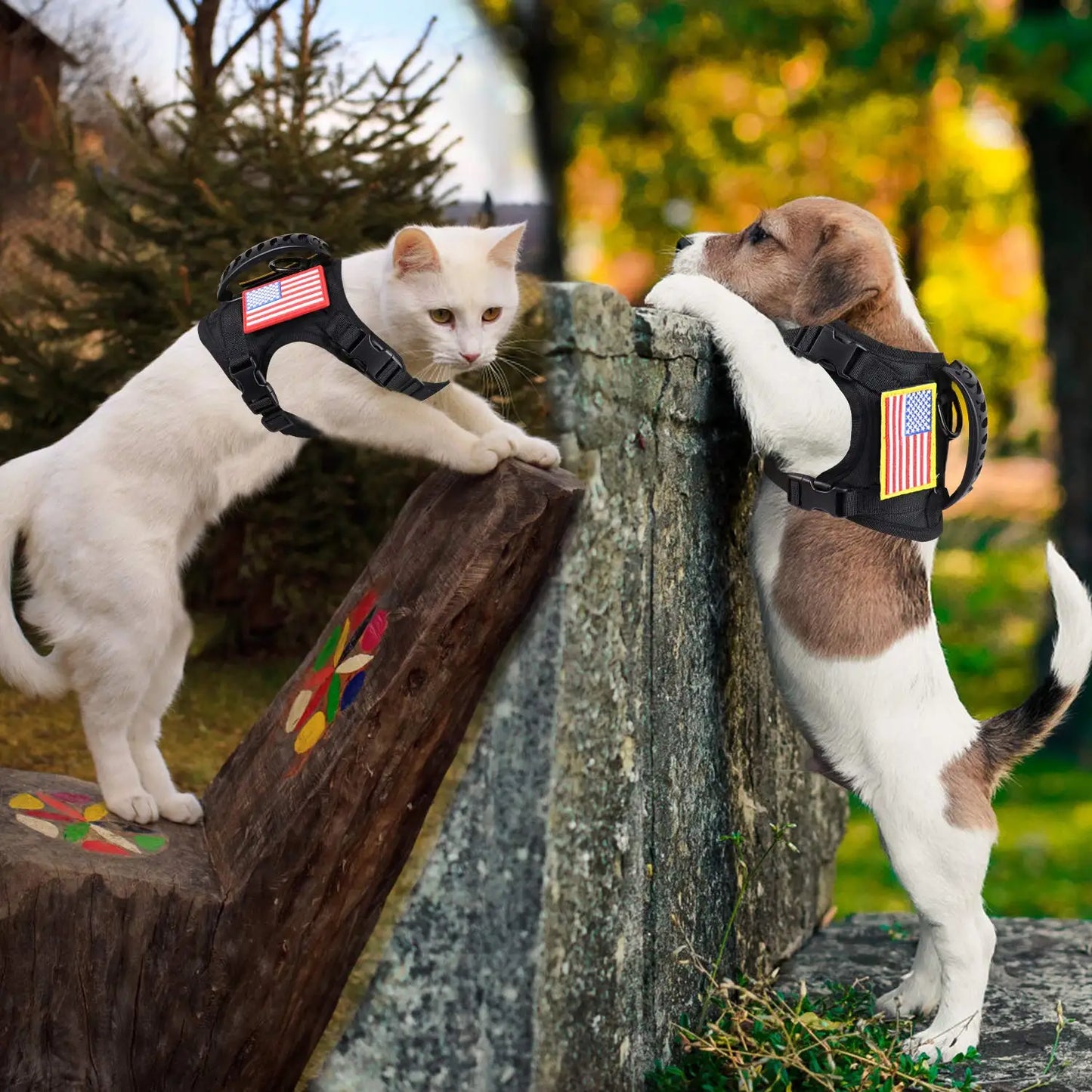 Tactical Pet Harness & Leash Set