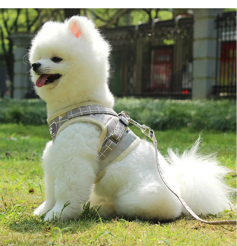 Reflective Pet Harness & Leash Set – Breathable Vest for Small Dogs & Cats