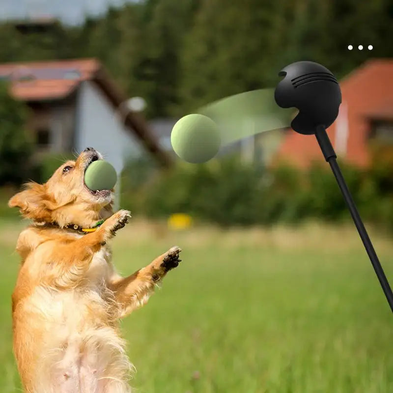 Interactive Dog Ball Launcher Toy for Outdoor Fetch Training