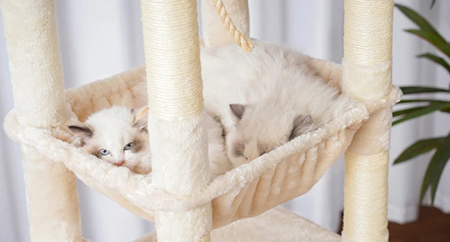 Heybly 60” Heavy-Duty Cat Tree – XXL Multi-Level Tower with Plush Condo for Large Cats