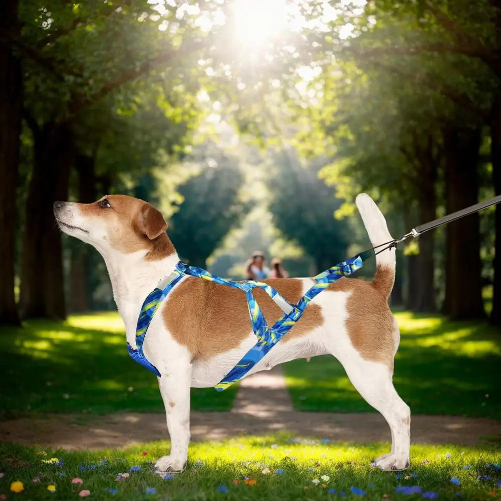 Dog Running Harness No-Pull Sport Training Bikejoring Skijoring Sled Harness