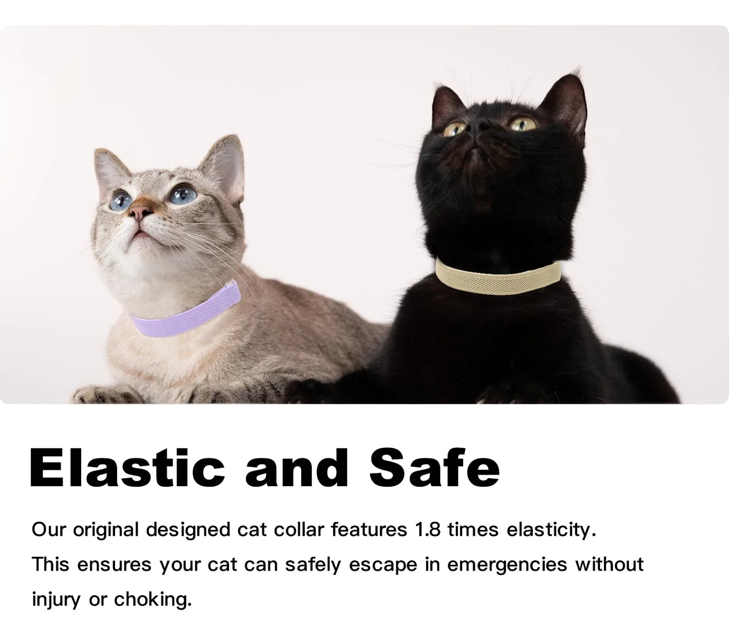 Elastic Safety Pet Collar – Adjustable Lightweight Collar for Cats & Small Dogs